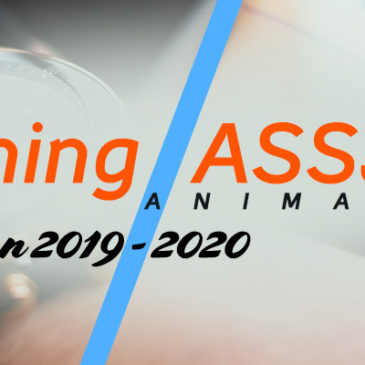 Planning animations 2019 – 2020